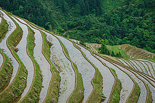 桂林梯田风光