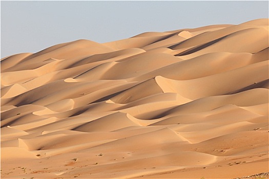 沙丘,空,区域,沙漠,酋长国,阿布扎比,阿联酋
