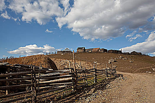 新疆阿勒泰喀纳斯牧场