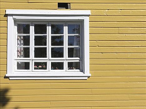 窗户,黄色,木屋,建筑,坦佩雷,芬兰
