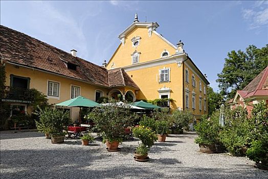 城堡,葡萄酒,博物馆,施蒂里亚,奥地利