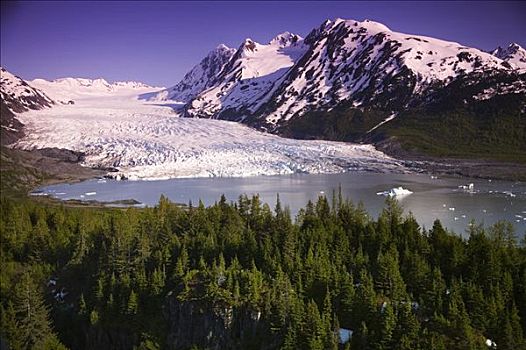 俯视,冰河,科奈山地,楚加奇国家森林,阿拉斯加,夏天