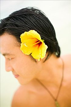 夏威夷,瓦胡岛,日本人,男人,黄色,木槿,毛发