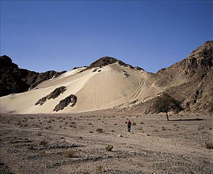 沙漠,荒漠景观,沙丘,沙子,干燥,西奈,埃及,北非