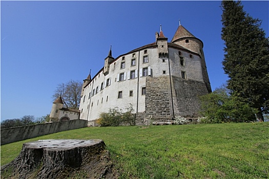 老,城堡,沃州,瑞士