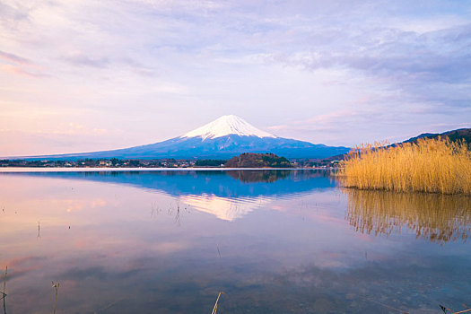 富士山,日本