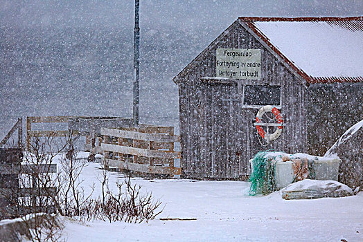 捕鱼,小屋,重,下雪,特罗姆斯,诺尔兰郡,挪威,欧洲