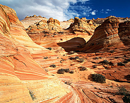 美国,亚利桑那,帕瑞亚谷,沙岩构造,狼丘,区域,大幅,尺寸