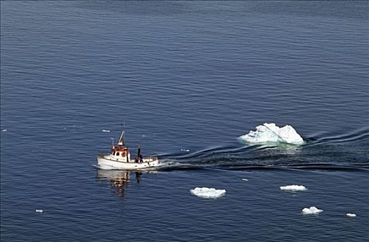 渔船,迪斯科湾,伊路利萨特,格陵兰,丹麦