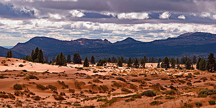 沙漠,山脉,背景,州立公园,犹他,美国