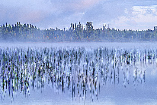 凉,湖,国家公园,萨斯喀彻温,加拿大