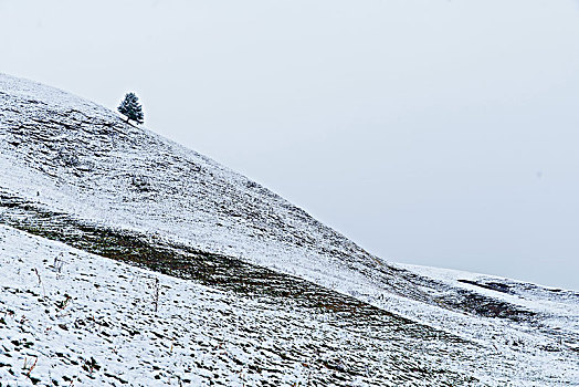 那拉提牧场雪景