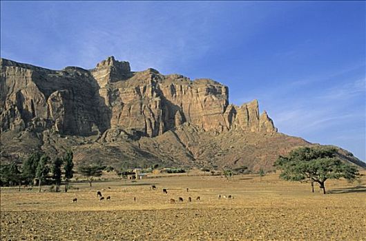 埃塞俄比亚,山峦