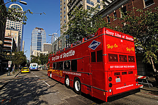 红色,巴士,灰色,线条,观光,西雅图,美国