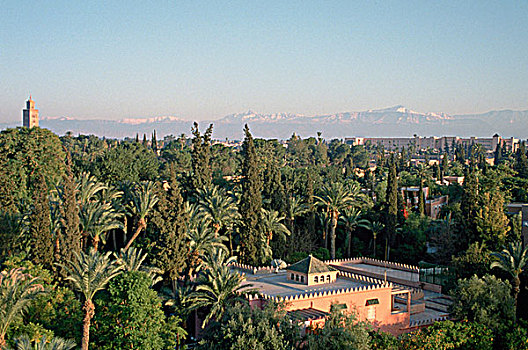 库图比亚清真寺,花园,马拉喀什,摩洛哥