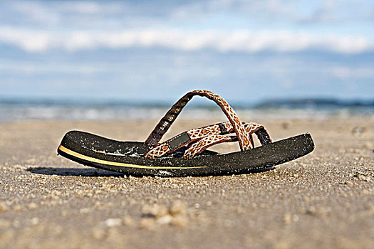 人字拖鞋,洗,向上,海滩,波罗的海,海洋