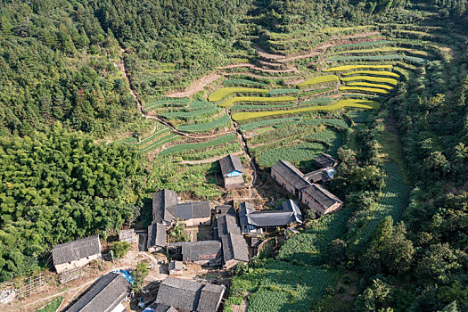 浙江仙居公盂村