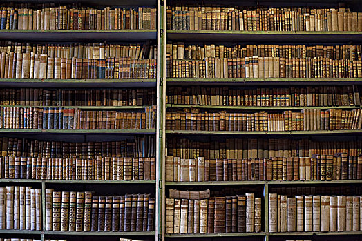历史,旧书,图书馆,木质,书架
