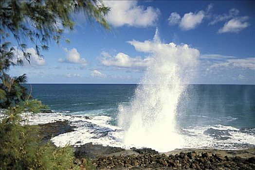 夏威夷,考艾岛,坡伊普,南,岸边,气孔