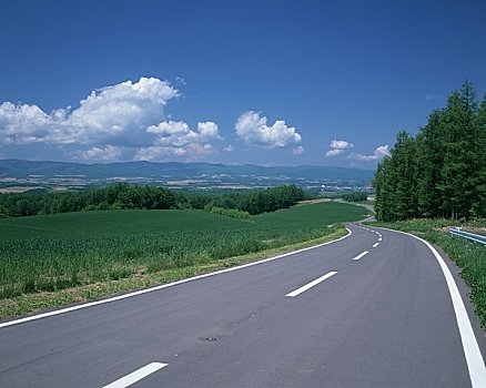 山,道路