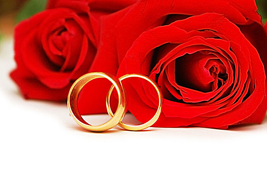 两个,婚戒,红玫瑰,隔绝,白色背景