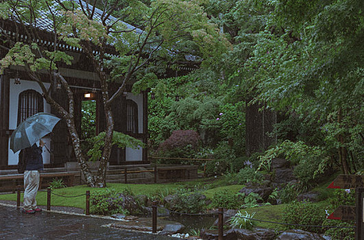 日本,庭院