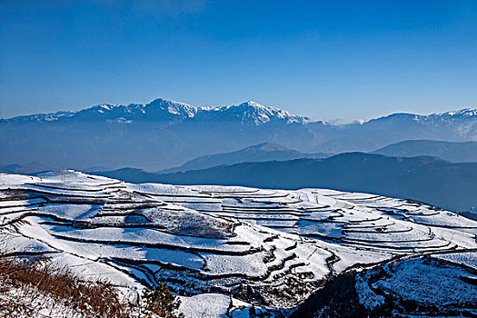 云南东川雪后,锦绣园,红土地