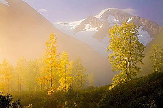 景色,雾,举起,正面,顶峰,冰河,楚加奇国家森林,阿拉斯加,秋天