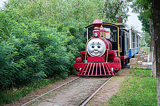 红色的小火车穿过树林