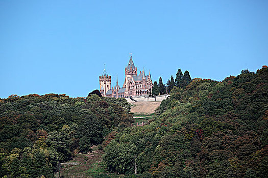城堡,俯视,莱茵河,靠近,北莱茵-威斯特伐利亚,德国,欧洲