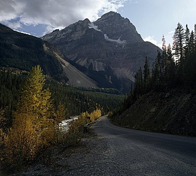 道路,通过,风景,库特尼国家公园,不列颠哥伦比亚省,加拿大