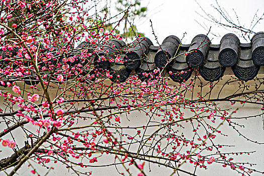 南京牛首山佛顶寺