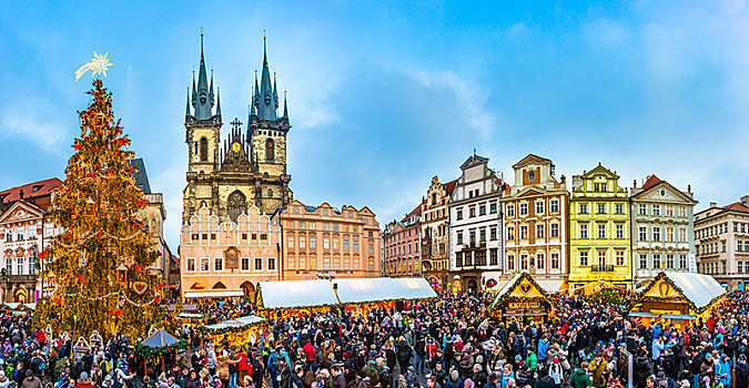 大教堂,圣诞市场,老城广场,历史,中心,布拉格,捷克共和国,欧洲