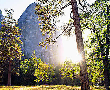 美国,加利福尼亚,优胜美地国家公园,日落,树林,大幅,尺寸,画廊