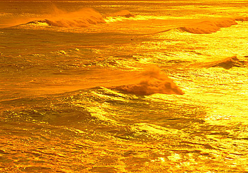 日光,海洋,毛伊岛,夏威夷