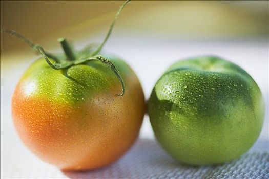 西红柿,绿色,橙色,水滴