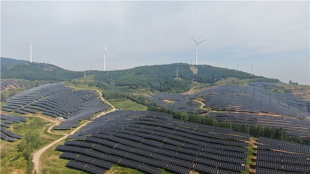 山东省日照市,太阳能发电板漫山遍野,绿色能源成为靓丽风景线