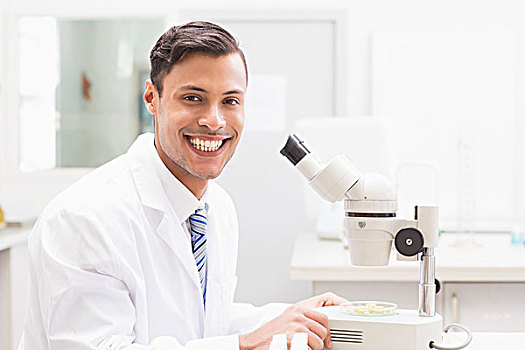微笑,科学家,看,培养皿,显微镜
