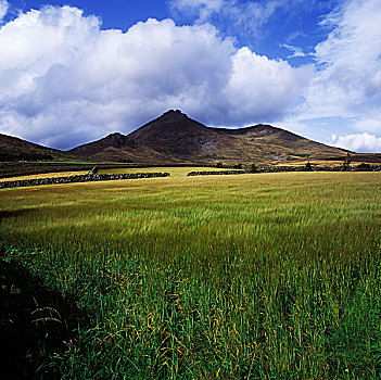 作物,土地,山峦,北爱尔兰
