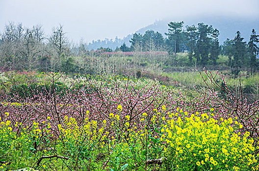 田园春色