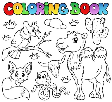 上色画册,沙漠,动物