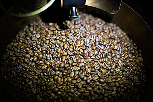 咖啡豆烘培咖啡豆