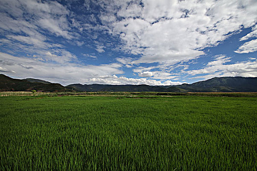 泸沽湖