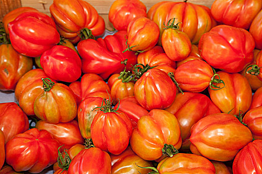 西红柿,德国,欧洲