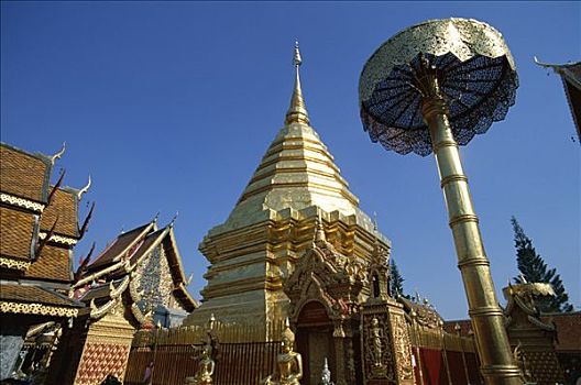 寺院,素贴,中心,契迪,黄金,伞,清迈,泰国