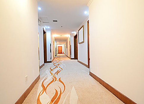 长,酒店,走廊,地毯