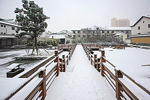 雪景