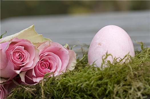 复活节彩蛋,两个,玫瑰,苔藓