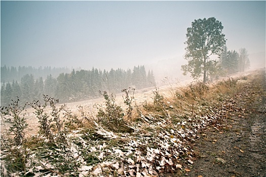 下雪,山,改变,季节,冬天,喀尔巴阡山脉地区