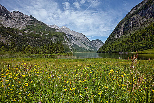 阿尔卑斯草甸,风景,湖,巴伐利亚,德国,欧洲